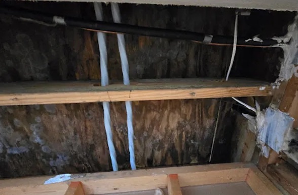 Window Leak Water Removal in Boardman, OH