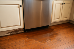 Dishwasher Leak Water Removal